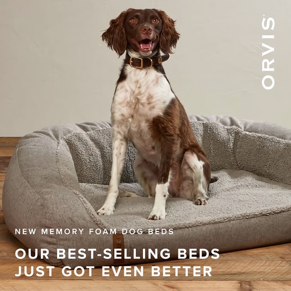 dog bed, pet bed, dog mattress, memory foam dog bed, orthopedic dog bed, dog cushion, pet furniture, product launch, bestseller push, lifestyle, warm, trustworthy, neutral, brown